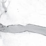 i Naturali Statuario Altissimo sft details